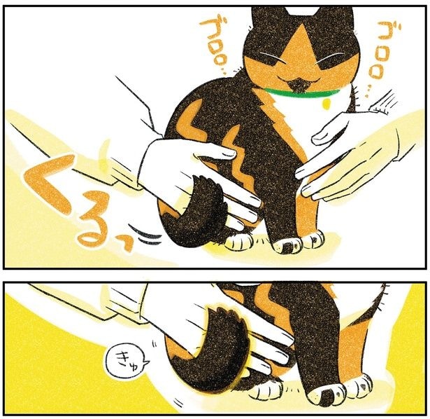 きゅ