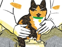 「乗りたいならおいで」甘えたそうな猫を膝の上に迎えたら
