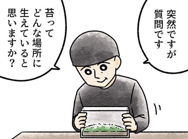 苔ってどんな場所に生えていると思いますか?