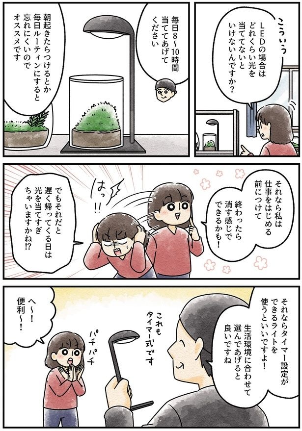 タイマー設定ができるライトを使うといいですよ!
