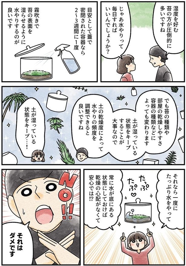 土が湿っている状態をキープ…!