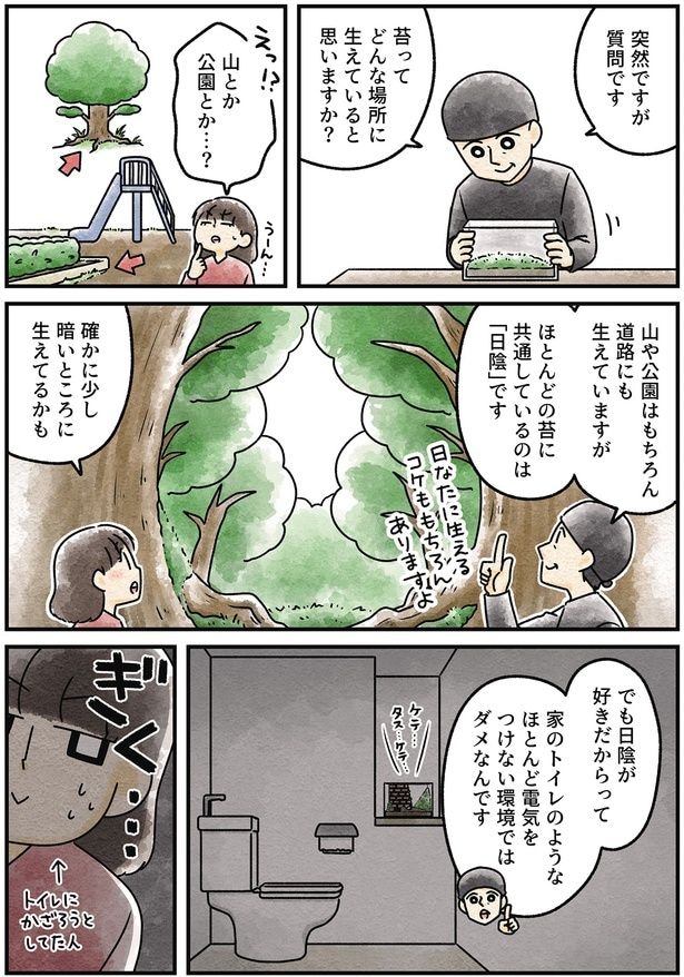 確かに少し暗いところに生えてるかも