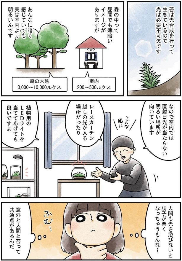 意外と人間と苔って共通点があるんだ