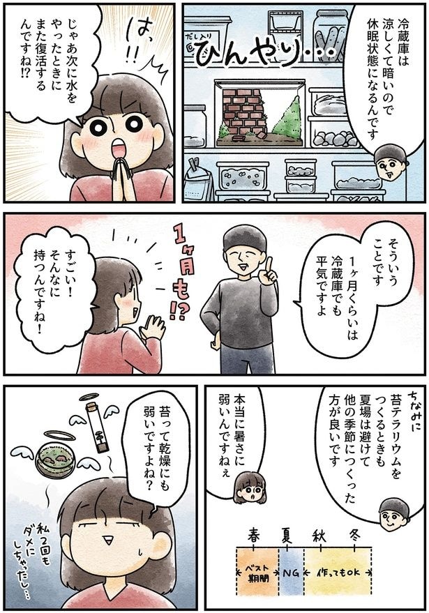 苔って乾燥にも弱いですよね?