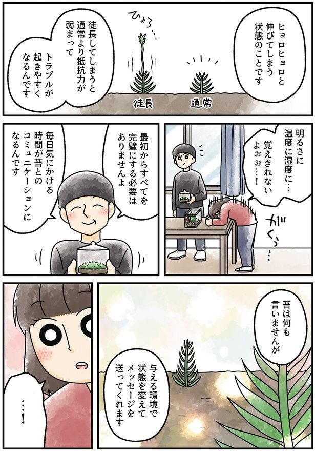 苔は何も言いませんが
