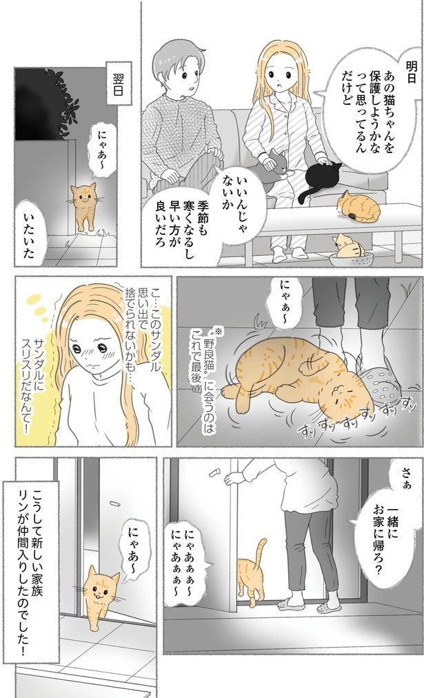 一緒にお家に帰ろ？