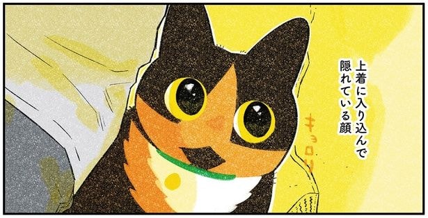 隠れている顔