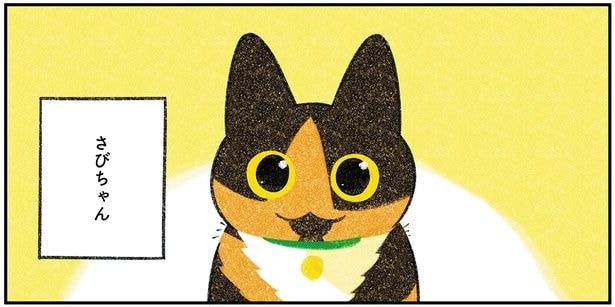 さびちゃん
