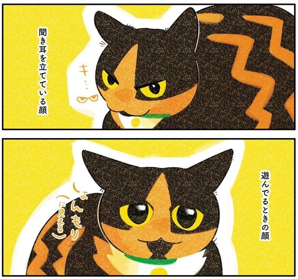 遊んでる時の顔