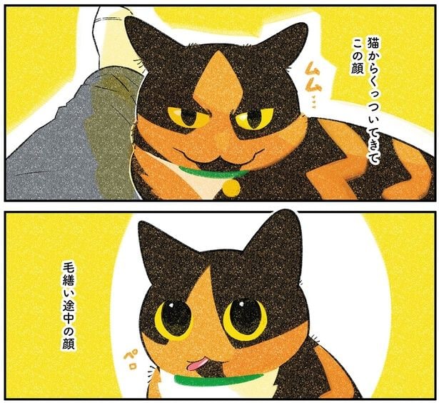 毛繕い途中の顔