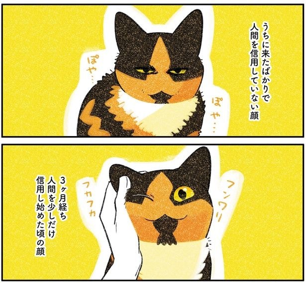 信用し始めた頃の顔
