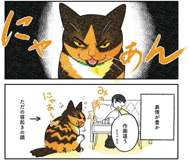 表情が豊か