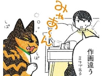 もはや作画が違う！ 見るたびに表情が変わる我が家の猫が愛おしい