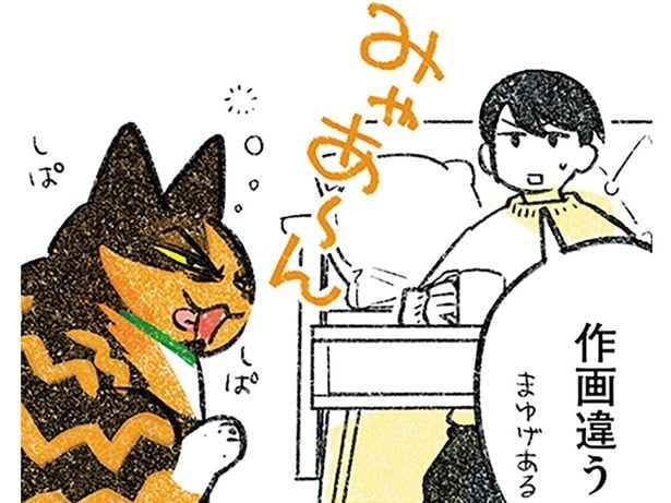 もはや作画が違う！ 見るたびに表情が変わる我が家の猫が愛おしい