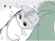かまわずにいられない！ 遊びたそうに甘えてくる猫に飼い主が陥落するまで