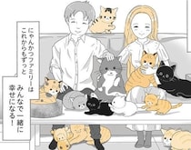 愛猫に発覚した大病。残された時間を幸せに過ごすためにできることは