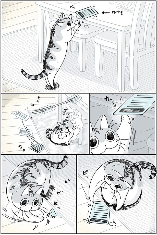 カーペットの下