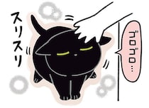 飼い主を起こさず甘えたい。黒猫ろんのセルフなでなで