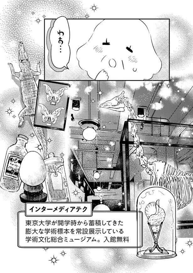 わぁ...
