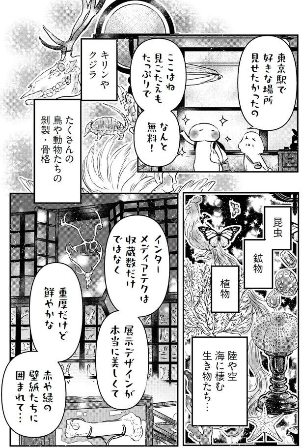 ここはね、見ごたえもたっぷりでなんと無料！