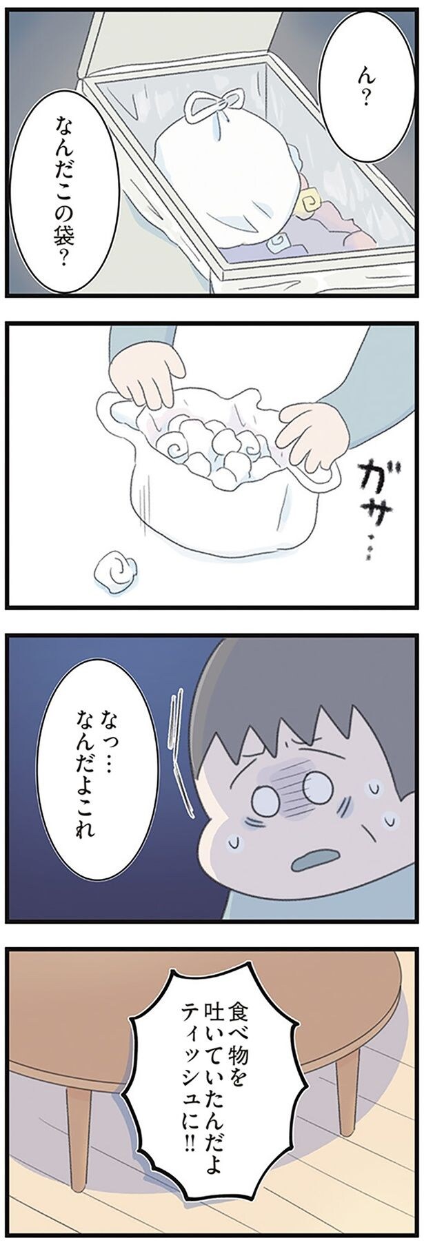 なんだこの袋?