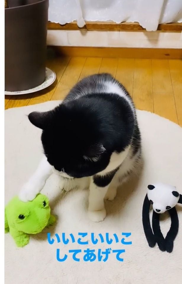 カエルのぬいぐるみにいいこいいこ（⇒次へ）