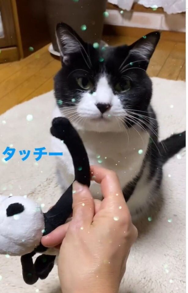 タッチー▶できるかな？（⇒次へ）