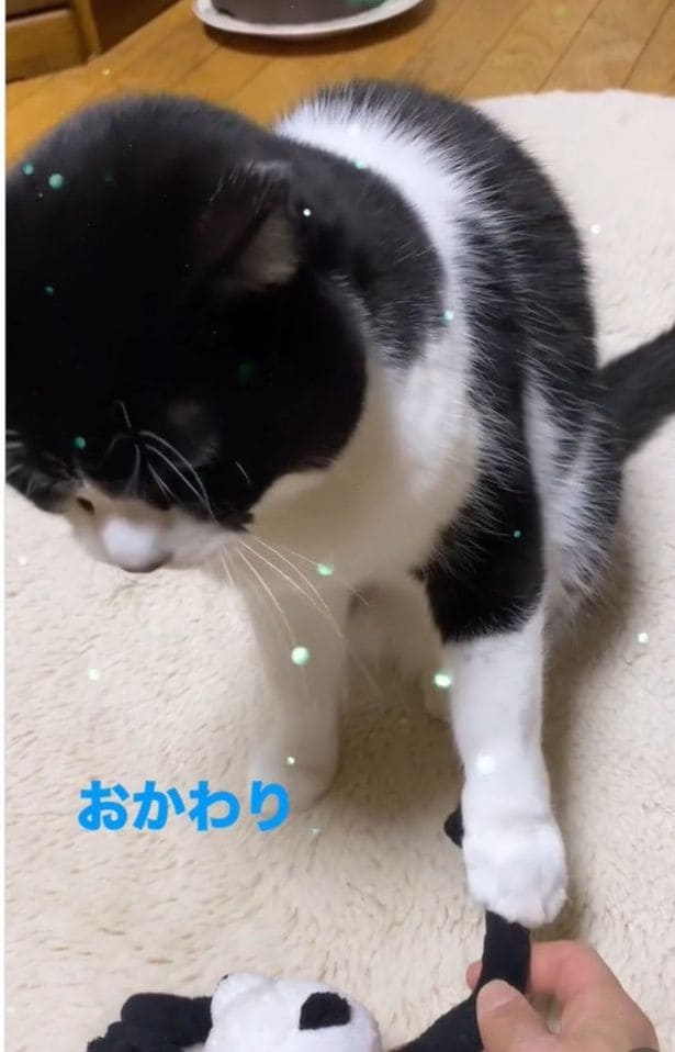 おかわり▶続いて…（⇒次へ）