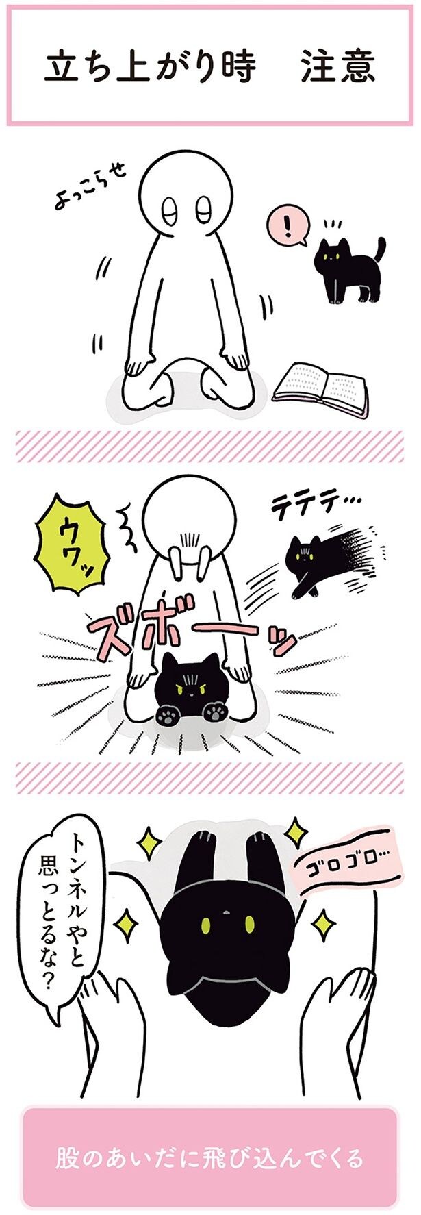 トンネルやと思っとるな?