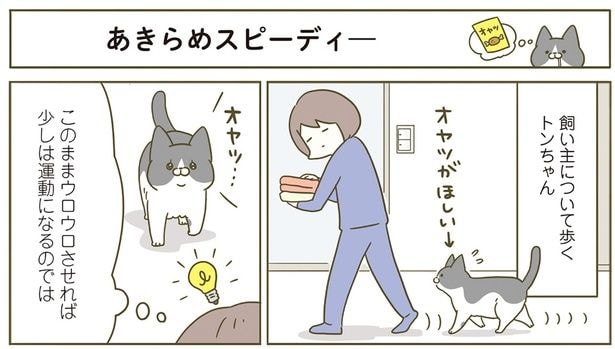 このままウロウロさせれば少しは運動になるのでは