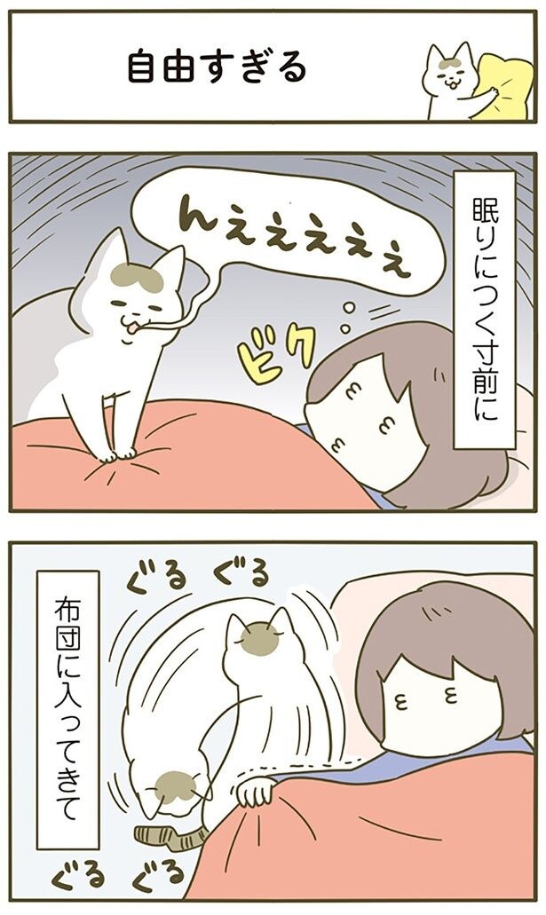 眠りにつく寸前に