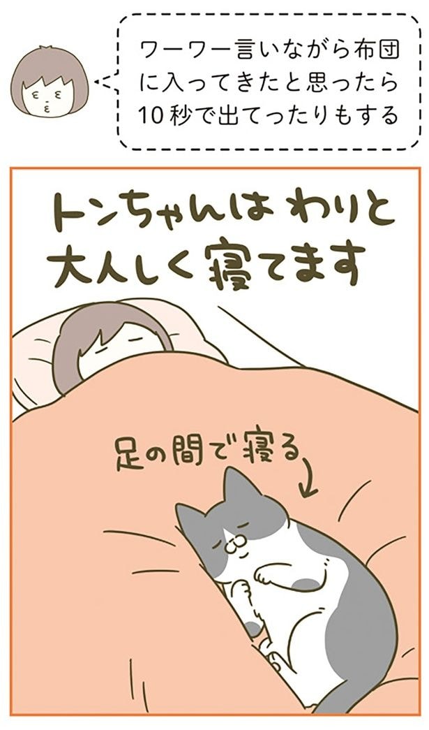 足の間で寝る