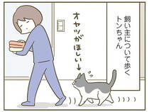 少しは運動をさせねば！ 飼い主の行動に猫を連れ回してみた結果