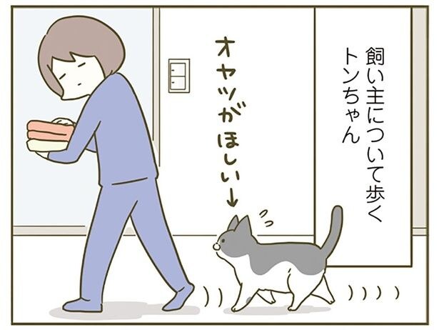 少しは運動をさせねば! 飼い主の行動に猫を連れ回してみた結果