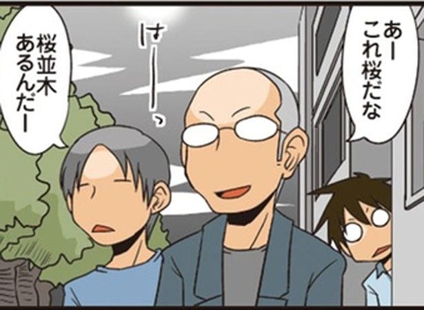 桜を見て何を思う?理系男子に風情は通じない!?