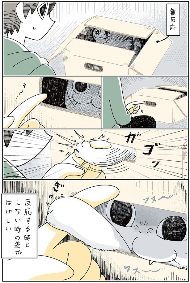 ガゴッ!!