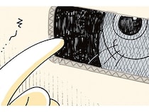 無反応かと思いきや。ダンボールに潜むネコに指をちらつかせてみた結果