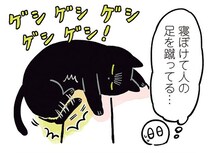 夢の中で何かと戦ってる？寝ぼけキックが止まらない黒猫ろん