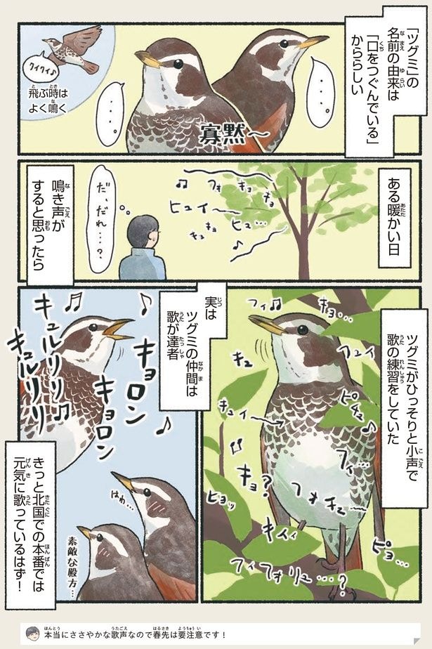 ツグミがひっそりと小声で歌の練習をしていた