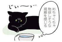 「できれば自分で飲んで…！」眠たい黒猫ろんと水分補給