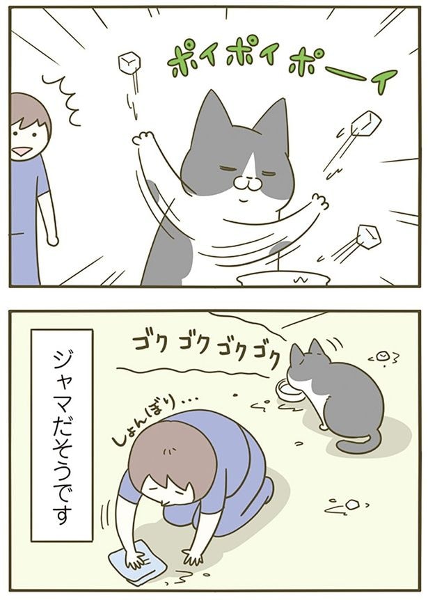 ポイポイポーイ
