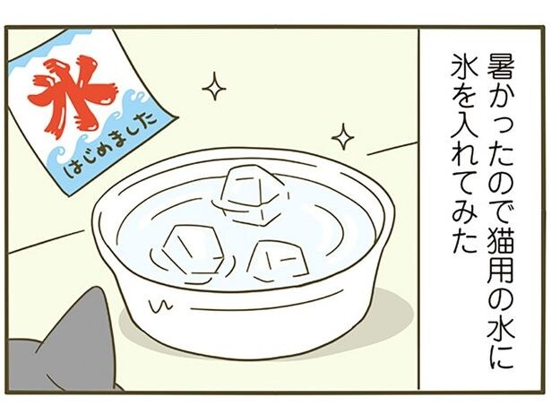暑い日の飼い主の気遣い。猫用の水に氷を入れてみたら