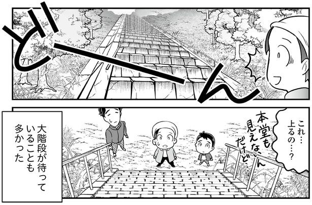 これ…登るの…？