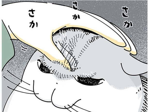 さかさかさか…