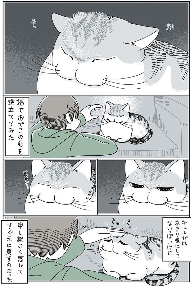 あまり気にしてないっぽいけど