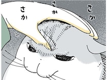 一体どう思ってる？ なでなでのついでにネコの額の毛を逆立ててみた
