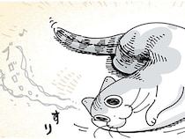 甘えたそうにしてるはずなのに。飼い主のところに来ないネコの謎