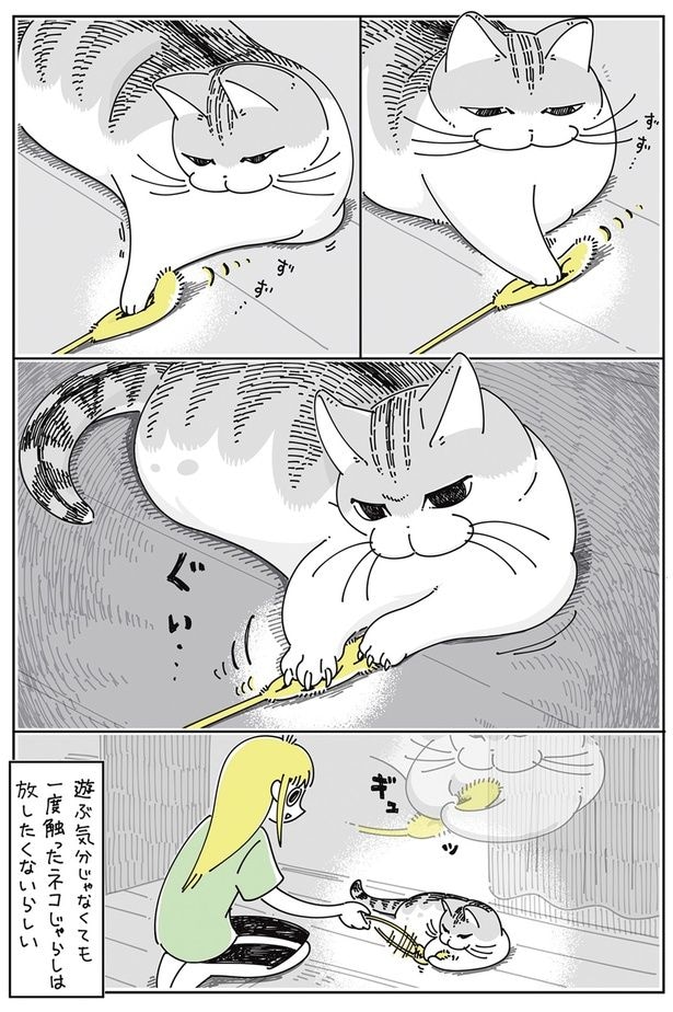 一度触ったネコじゃらしは放したくないらしい