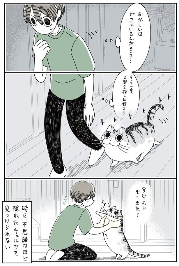 今どこから出てきた?