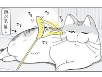 遊ぶ気がないのでは？ ネコがなかなか離さない猫じゃらしの話